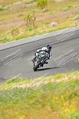 media/Apr-13-2024-Classic Track Day (Sat) [[9dd147332a]]/Group 3/Session 2 (Turns 5 and 6)/